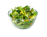 Large Garden Salad