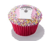 Novelty Bun