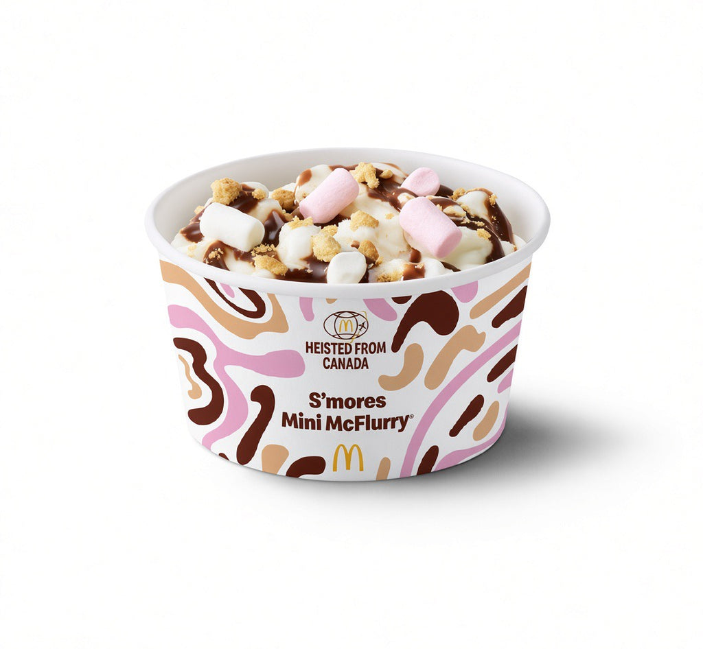 S'mores Mini McFlurry