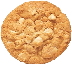 White Chocolate Macadamia Nut Cookie